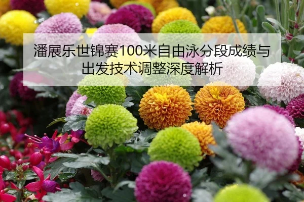 潘展乐世锦赛100米自由泳分段成绩与出发技术调整深度解析