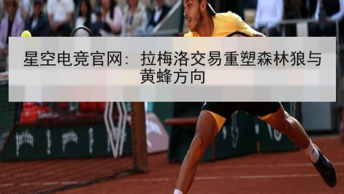 星空电竞官网: 拉梅洛交易重塑森林狼与黄蜂方向 星空电竞官网: 拉梅洛交易重塑森林狼与黄蜂方向